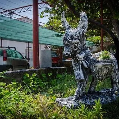 In With Sea View, Balcony, Air Conditioning, W-lan 5055-1 *